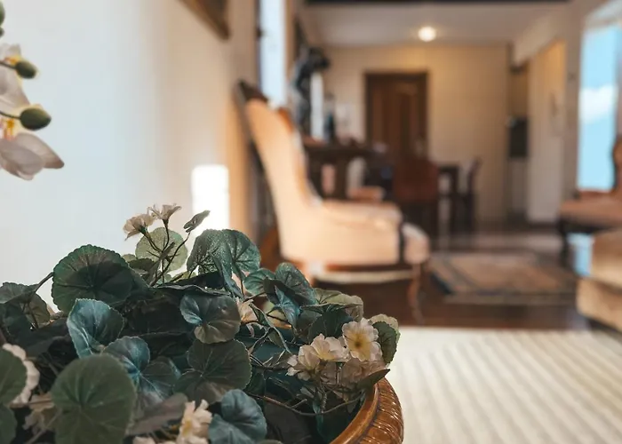 Attic Terrace San Square View